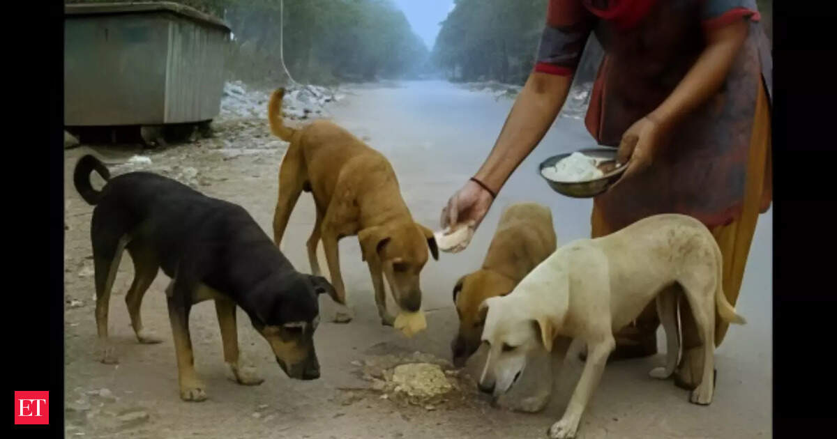 Faridabad housing society fines resident Rs 1.3 lakh for feeding stray dogs