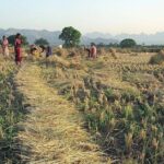 The multi-sectoral rural prosperity and resilience program will be launched in partnership with states.