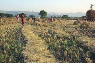 The multi-sectoral rural prosperity and resilience program will be launched in partnership with states.