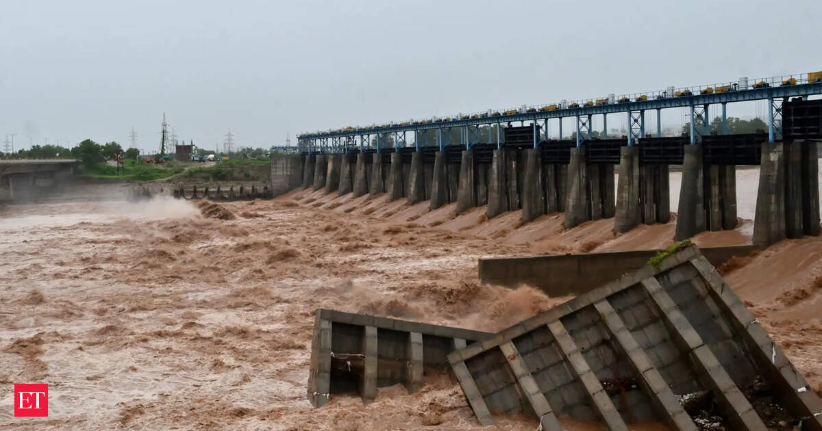 India issues fresh flood risk warnings to Pakistan amid heavy rain in northern states