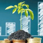 HNIs, UHNIs can bet on private credit for higher yields