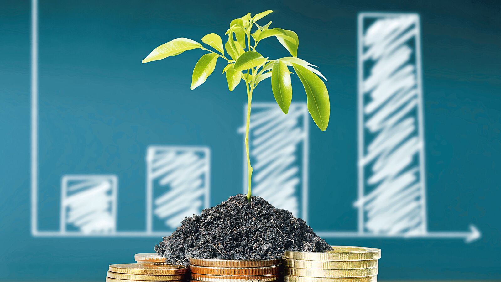 HNIs, UHNIs can bet on private credit for higher yields