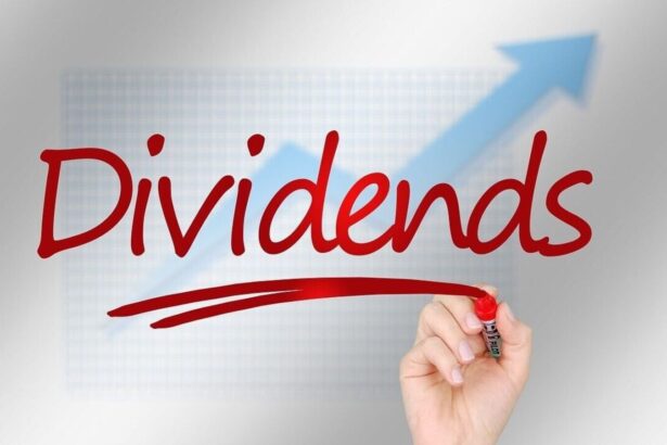 Coal India, ONGC to Bank of Baroda: These 15 PSU stocks have highest dividend yields — Do you own any?