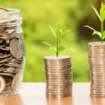 Dividend yield funds predominantly invest in dividend yielding stocks, with at least 65 percent in securities