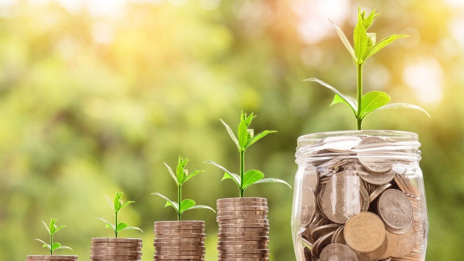 Green bonds supporting renewable energy and climate-resilient infrastructure for a sustainable, low-carbon economy