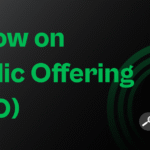 What is Follow on Public Offering (FPO)?