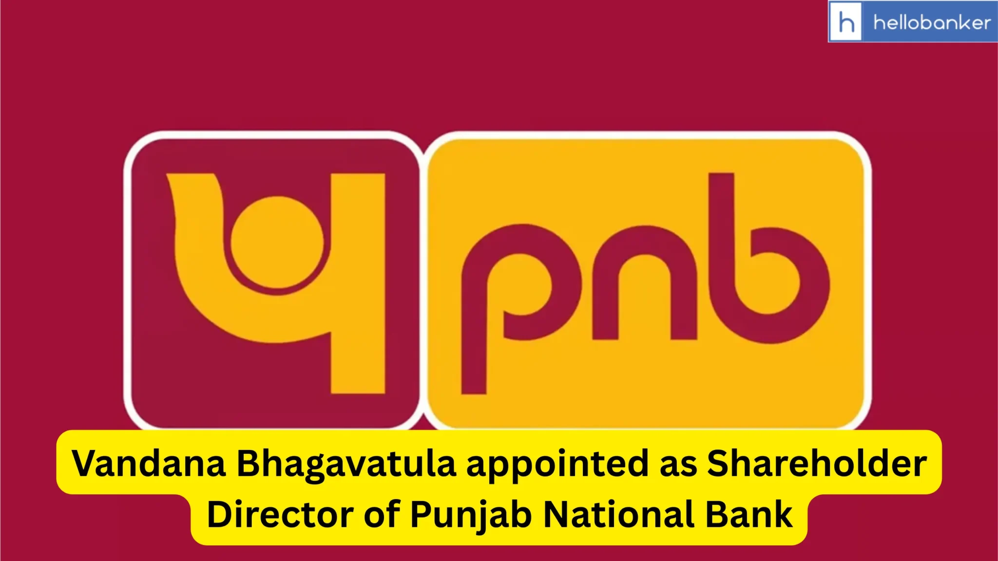 Vandana Bhagavatula appointed as Shareholder Director of Punjab National Bank