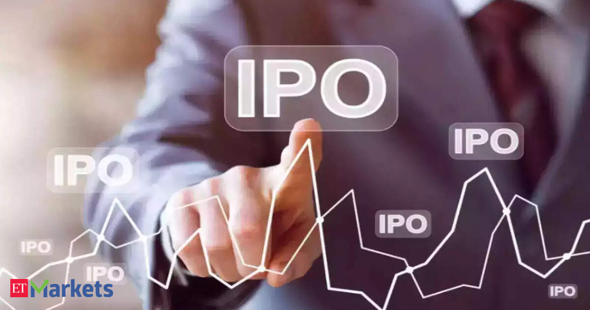 Initial Public Offerings (IPO): Why are FPIs betting big on Indian IPOs despite market uncertainties?