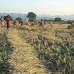 The multi-sectoral rural prosperity and resilience program will be launched in partnership with states.