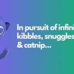 Unlock Financial Wellness: Discover How Cats Improve Your Mental Health