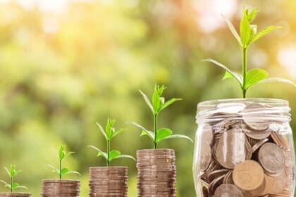Green bonds supporting renewable energy and climate-resilient infrastructure for a sustainable, low-carbon economy