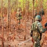 16 Naxalites surrender in Chhattisgarh's Narayanpur