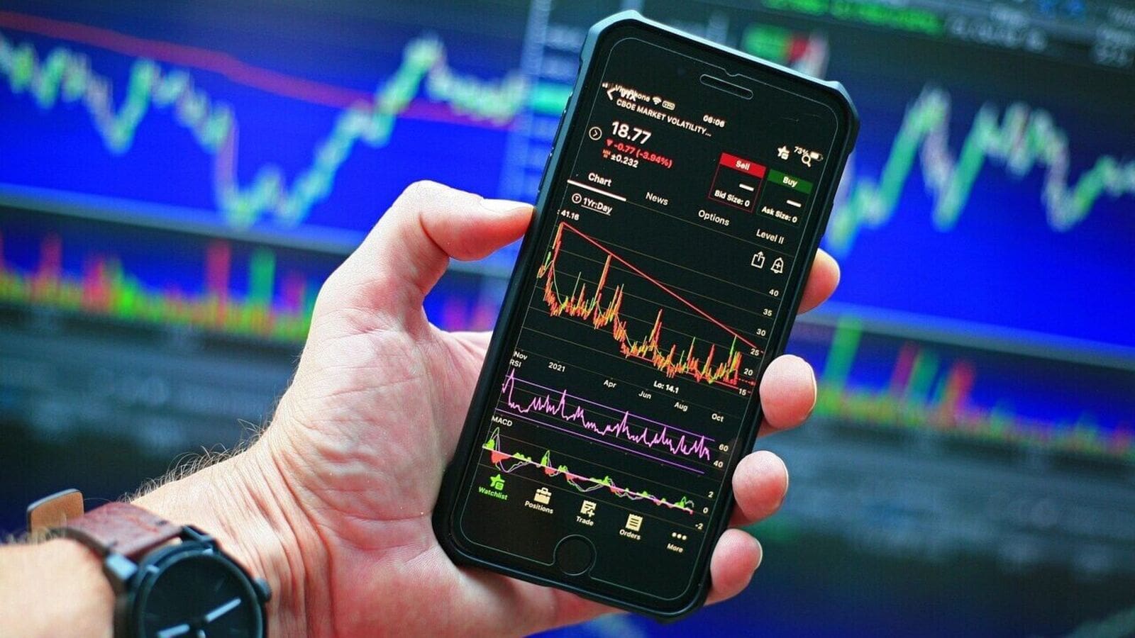 Indian stock market: Nifty 50 reclaims 24,500. Dead cat bounce or sustained rally likely?
